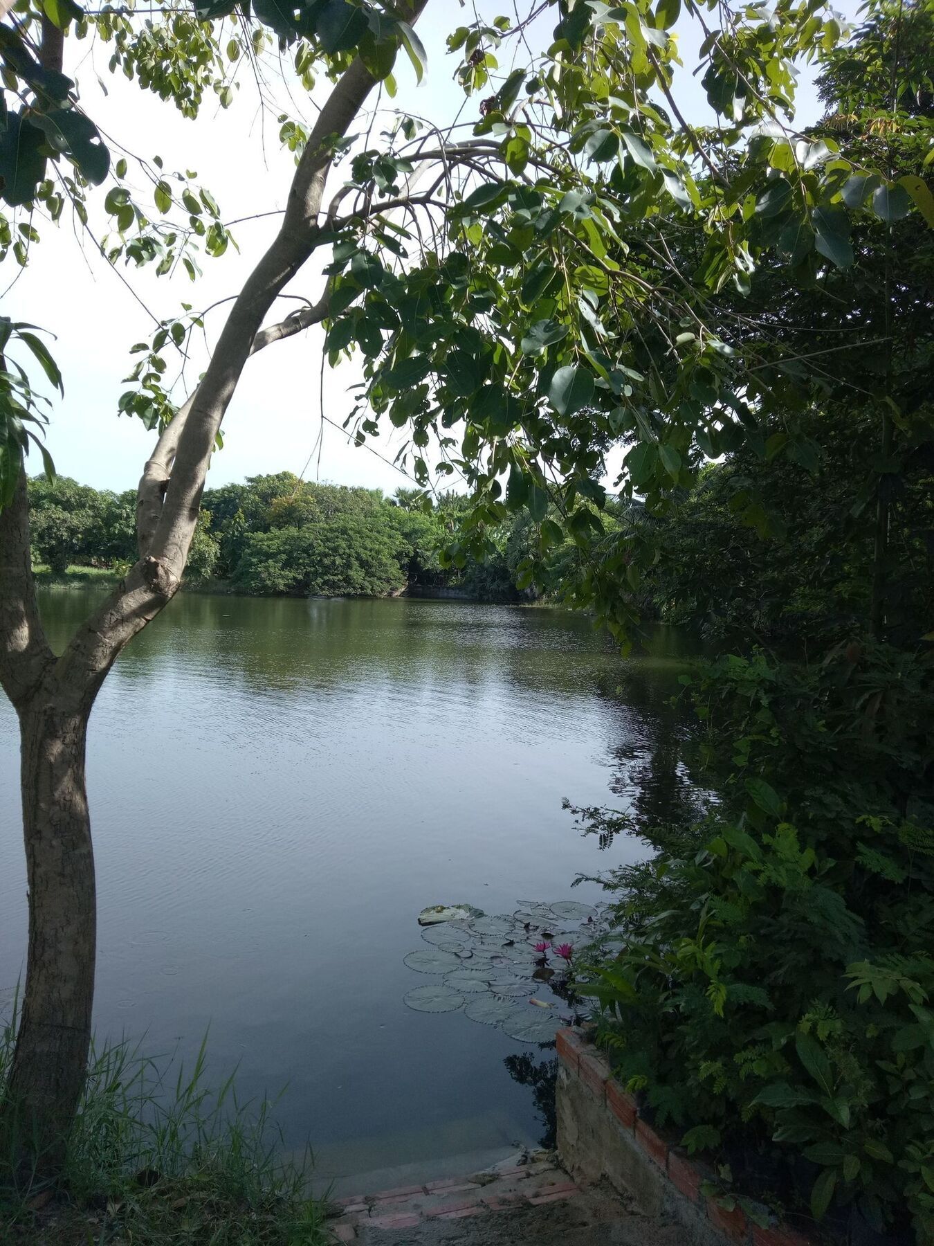 Samathi Lake Resort Phnompen Kültér fotó
